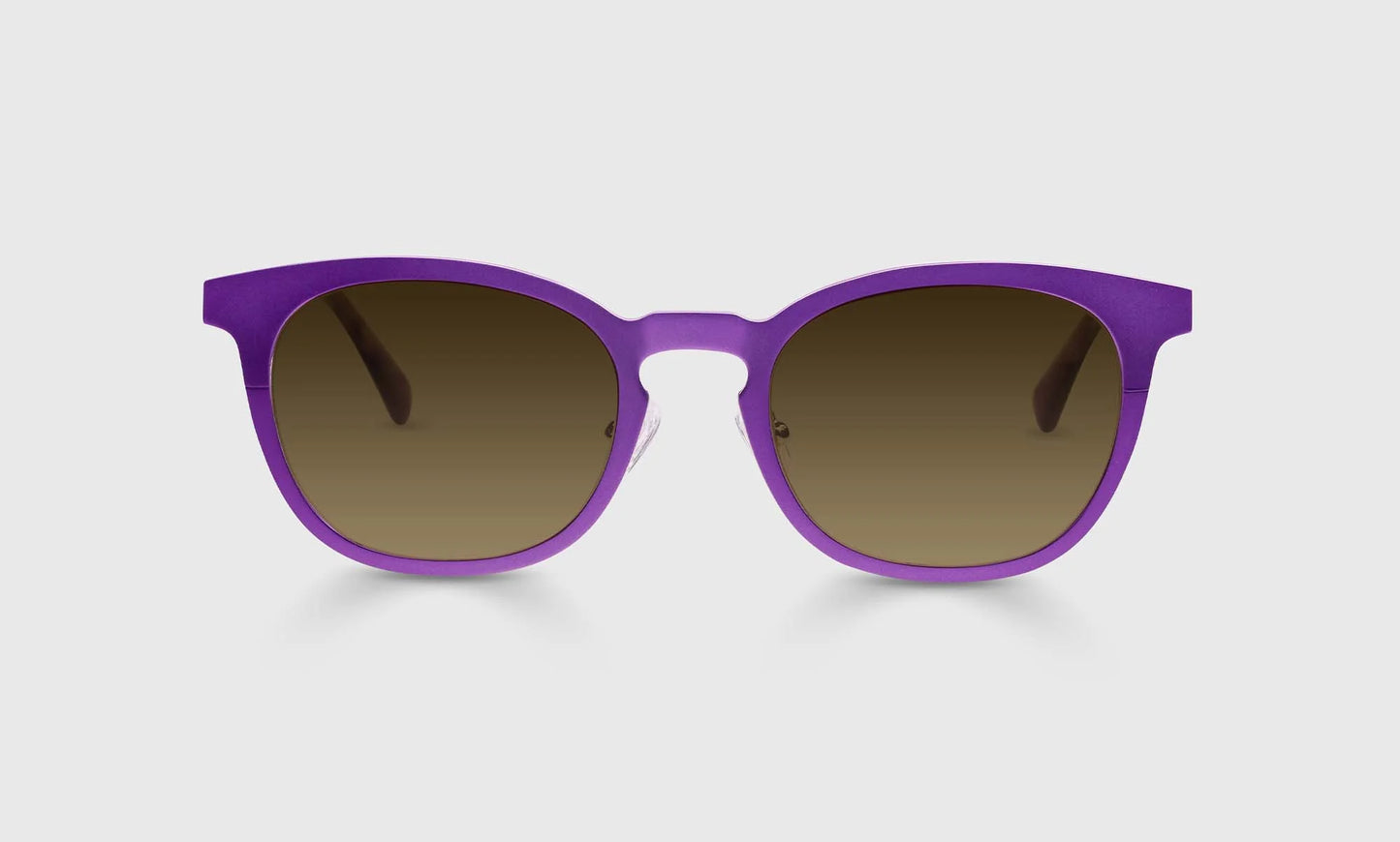 Alloy Ally Metal Sunglasses
